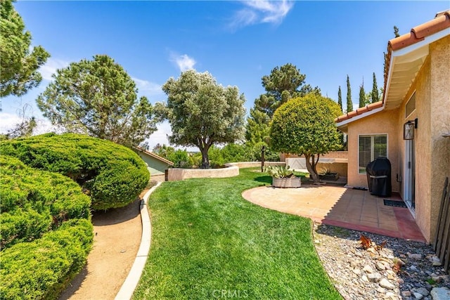 view of green lawn featuring a patio