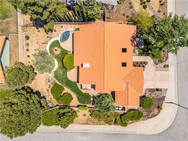 bird's eye view