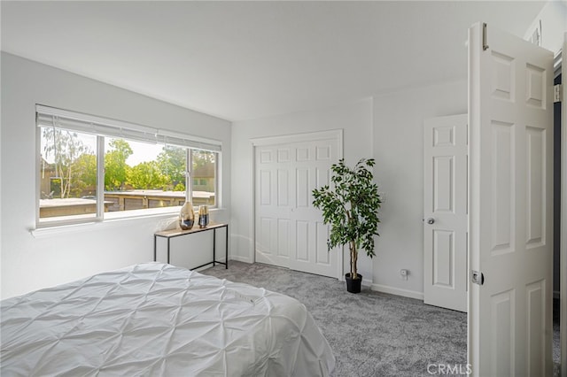 762 Dragonfly Ct, San Jose, CA 95133 - bedroom featuring carpet flooring, baseboards, and a closet