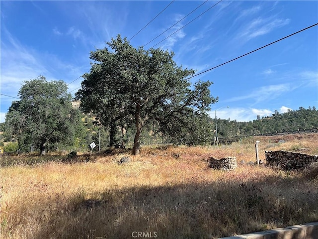 view of nature