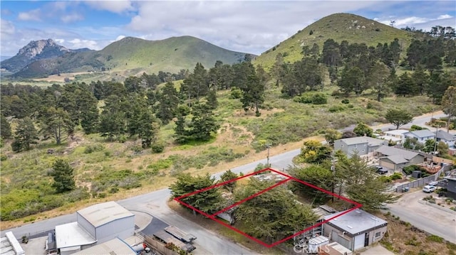 1188 Allesandro St, Morro Bay, CA 93442 - photo 52