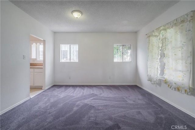 144 W 101st St, Los Angeles, CA 90003 - spare room featuring carpet flooring, healthy amount of natural light, a textured ceiling, and baseboards