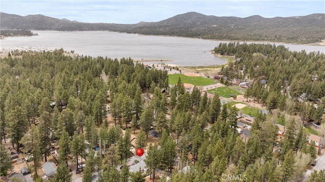 433 Conklin Rd, Big Bear Lake, CA 92315 - aerial overview of property's location with a water and mountain view