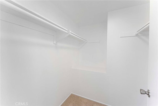 942 E Denwall Dr, Carson, CA 90746 - walk in closet with carpet floors