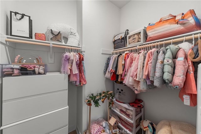27218 Narrowleaf Willow Ln, Valencia, CA 91381 - view of spacious closet