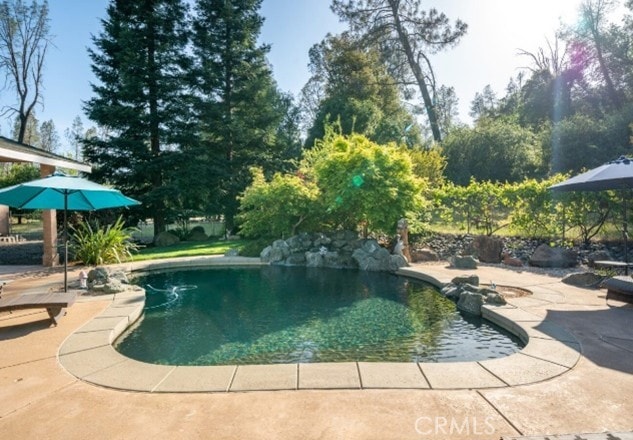 outdoor pool featuring a patio