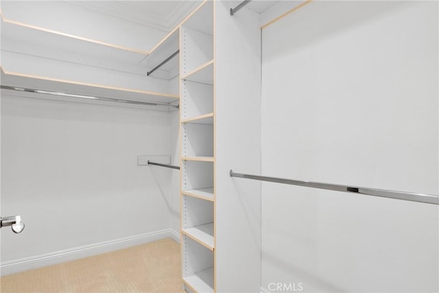 4818 Lemona Ave, Sherman Oaks, CA 91403 - spacious closet with carpet floors