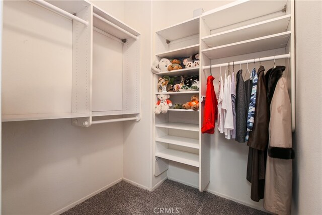 walk in closet with carpet flooring