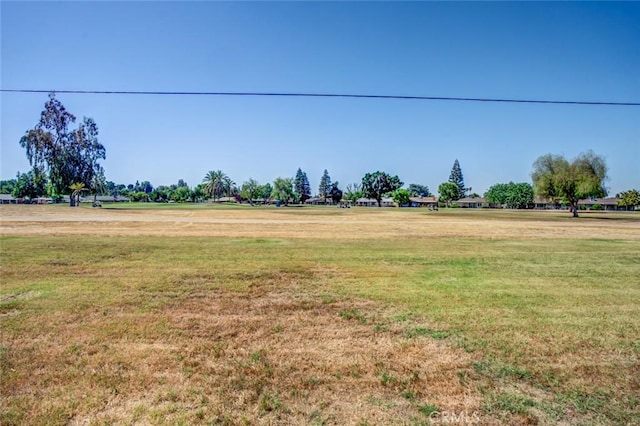 view of green lawn