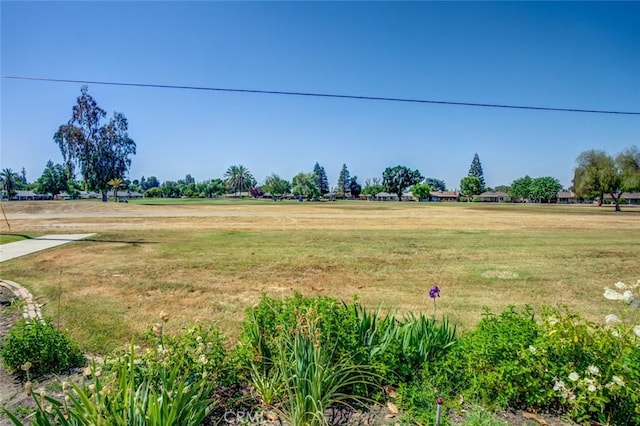 view of green lawn