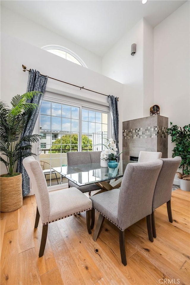 living area featuring plenty of natural light, wood finished floors, and a high ceiling