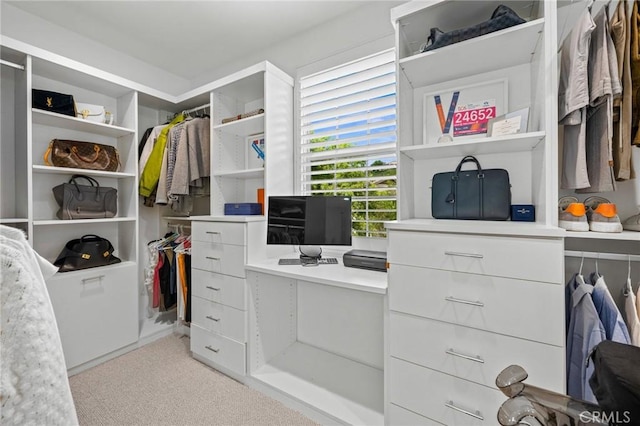 spacious closet with light colored carpet