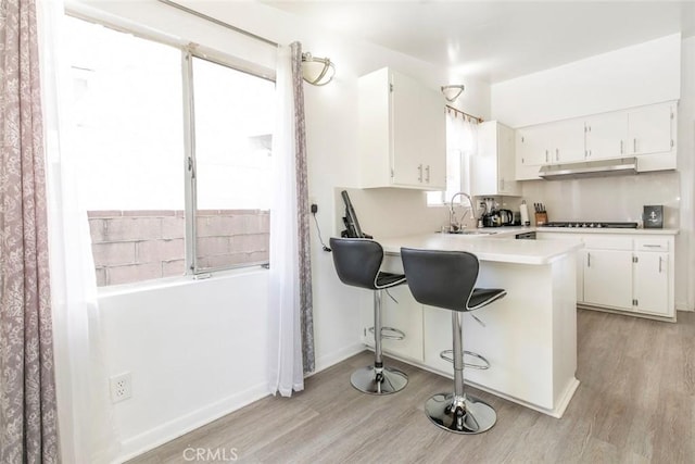 7700 Goodland Ave, North Hollywood, CA 91605 - kitchen with a sink, light wood-style flooring, light countertops, and white cabinets