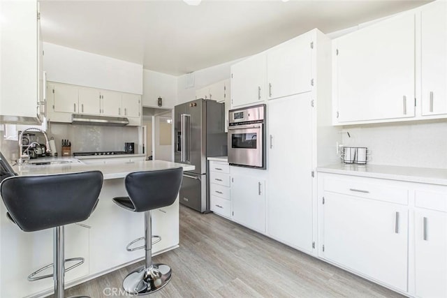 7700 Goodland Ave, North Hollywood, CA 91605 - kitchen featuring appliances with stainless steel finishes, under cabinet range hood, a sink, light wood finished floors, and light countertops