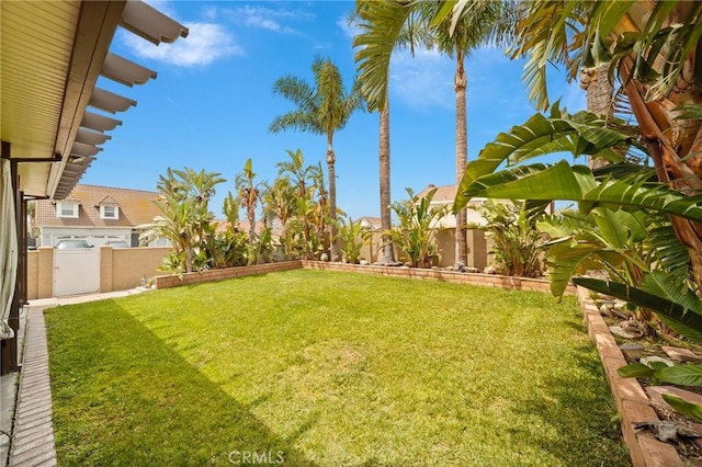 11396 Burl Dr, Fontana, CA 92337 - view of yard