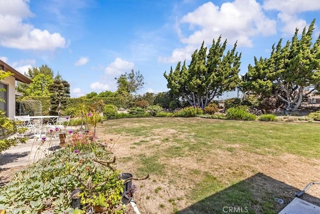 2015 E Hillman Cir, Orange, CA 92867 - view of grassy yard