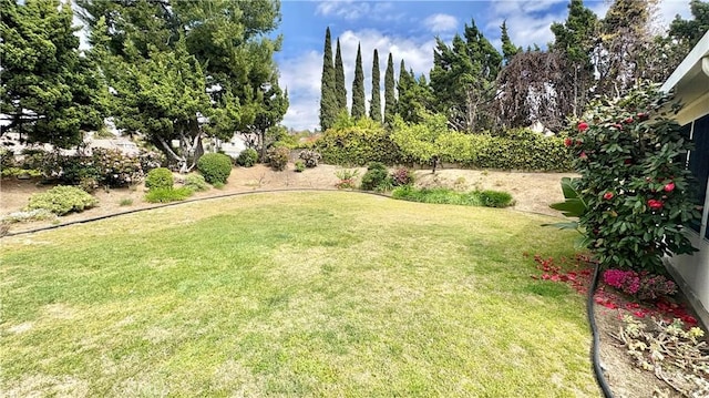 2015 E Hillman Cir, Orange, CA 92867 - view of green lawn