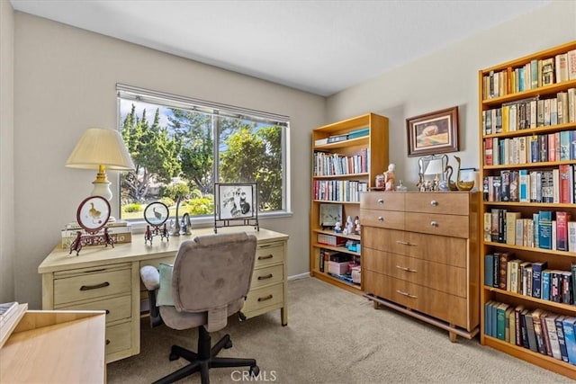 2015 E Hillman Cir, Orange, CA 92867 - view of carpeted office space