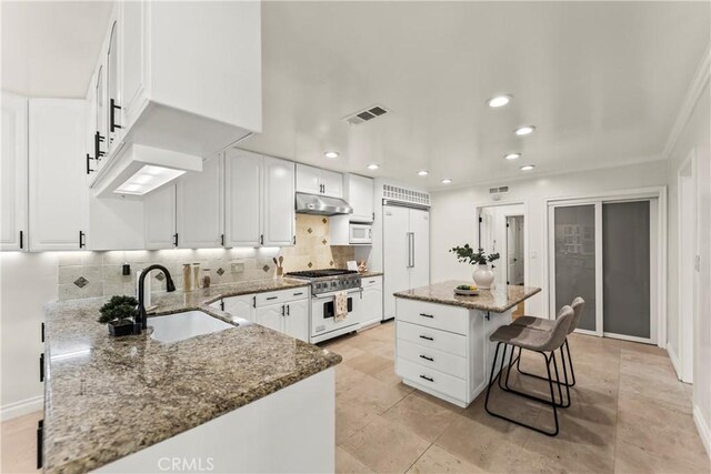 4428 Saugus Ave, Sherman Oaks, CA 91403 - kitchen featuring high quality appliances, a sink, under cabinet range hood, decorative backsplash, and dark stone counters