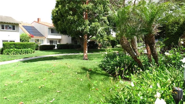 306 Vista Trucha, Newport Beach, CA 92660 - view of grassy yard