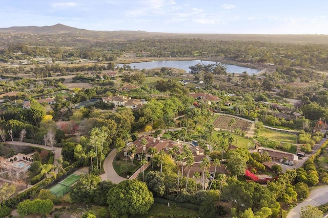 18127 Via Roswitha, Rancho Santa Fe, CA 92067 - drone / aerial view of a large body of water