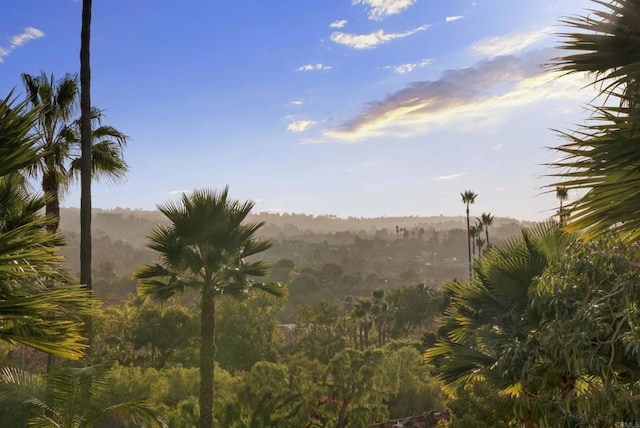 18127 Via Roswitha, Rancho Santa Fe, CA 92067 - mountain view
