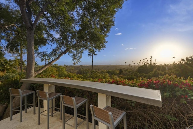 18127 Via Roswitha, Rancho Santa Fe, CA 92067 - view of patio