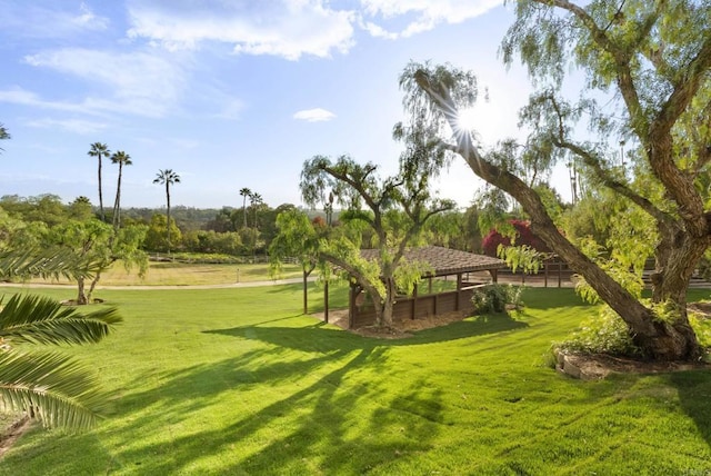 18127 Via Roswitha, Rancho Santa Fe, CA 92067 - view of grassy yard with a gazebo