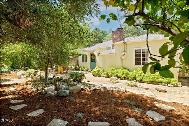 view of yard featuring a patio area
