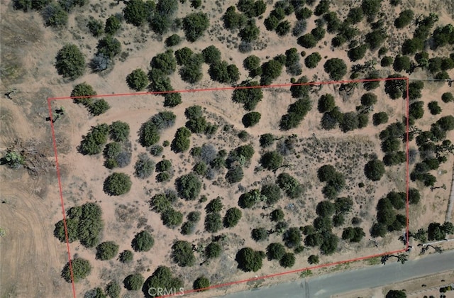 11075 Heartland Cir, Oak Hills, CA 92344 - photo 6