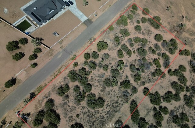 11075 Heartland Cir, Oak Hills, CA 92344 - photo 5