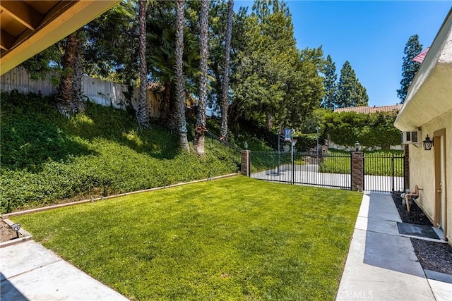15541 Olive Branch Dr, La Mirada, CA 90638 - view of yard