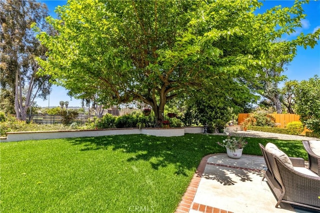view of yard with a patio