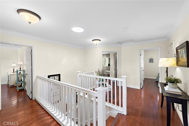 2 Anglesite, Rancho Santa Margarita, CA 92688 - photo 21
