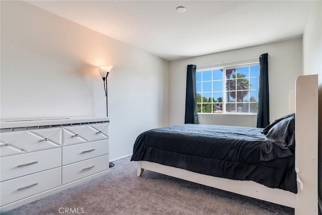1113 Juniper Ct, San Jacinto, CA 92582 - view of carpeted bedroom