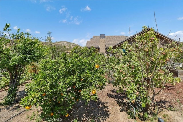 4004 Snowgoose St, Simi Valley, CA 93065 - photo 51
