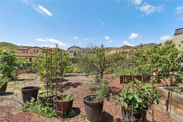 4004 Snowgoose St, Simi Valley, CA 93065 - view of yard featuring a vegetable garden and fence