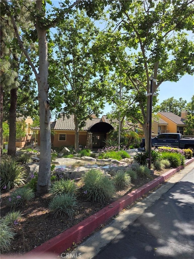 view of front facade featuring stucco siding