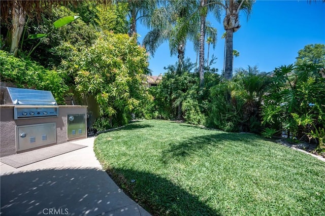 29784 Nautical Ct, Canyon Lake, CA 92587 - view of green lawn with an outdoor kitchen