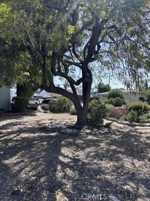 2020 W Swanee Ln, West Covina, CA 91790 - view of road