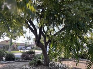 2020 W Swanee Ln, West Covina, CA 91790 - view of yard