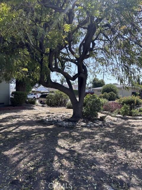 2020 W Swanee Ln, West Covina, CA 91790 - view of road