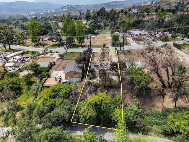 3658 N Fair Oaks Ave, Altadena, CA 91001 - photo 7