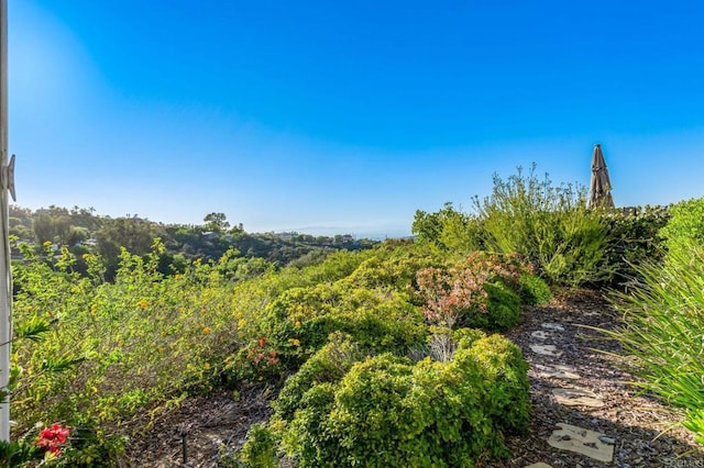28623 Willow Park Rd, Escondido, CA 92026 - view of yard