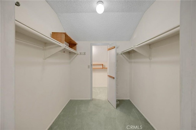 2622 N Tustin Ave Unit 147, Santa Ana, CA 92705 - walk in closet with carpet floors
