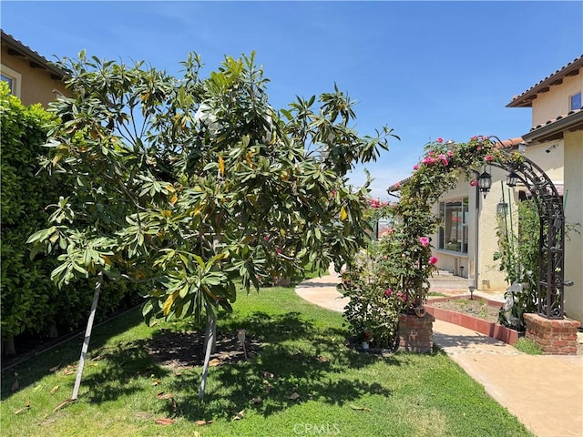 2825 Majestic St, West Covina, CA 91791 - view of green lawn