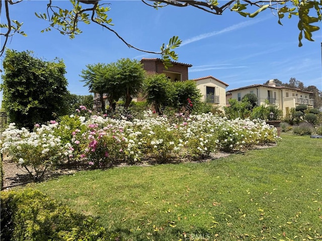 2825 Majestic St, West Covina, CA 91791 - view of green lawn