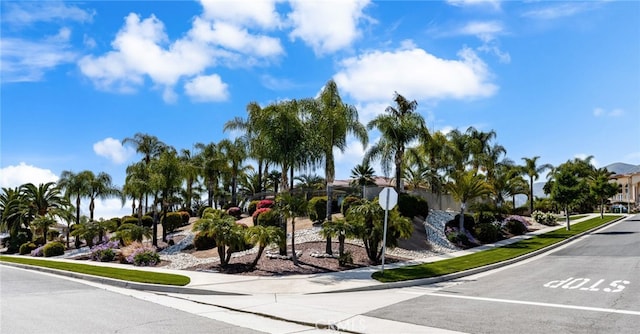 4009 Cerveza Cir, Corona, CA 92881 - view of asphalt street with sidewalks, curbs, and traffic signs