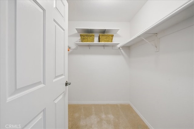 21345 Hawthorne Blvd Unit 126, Torrance, CA 90503 - spacious closet featuring light carpet