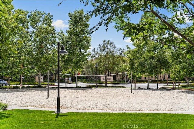 view of community featuring volleyball court and a yard
